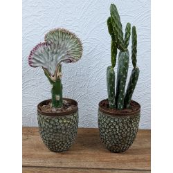 Fyrfadsstage gr�n, H9 cm - �8 cm