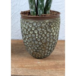 Fyrfadsstage gr�n, H9 cm - �8 cm