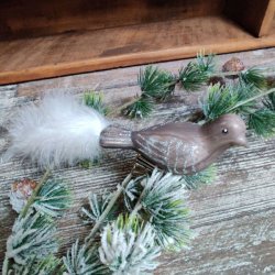 Elegant moccafarvet glasfugl med klemme og hvid fjerhale liggende p� en sned�kket granbort foran m�rkt tr�.