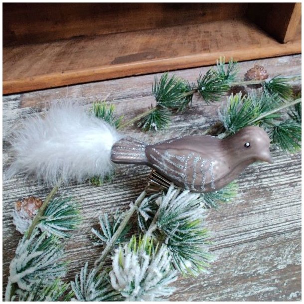 Elegant moccafarvet glasfugl med klemme og hvid fjerhale liggende p� en sned�kket granbort foran m�rkt tr�.