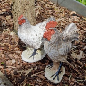 Et s�t naturtro havefigurer best�ende af en hane og en h�ne i hvid og gr� polyresin med detaljerede fjer og r�de kamme. Figurerne er placeret p� et underlag af tr�flis ved siden af en tr�stamme i en have.