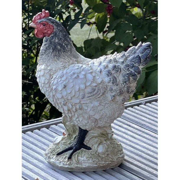 N�rbillede af h�nefiguren, der viser de detaljerede hvide og gr� fjer og r�de kam