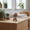 Lille Hoptimist Small Bimble i egetr� p� en sk�nk.