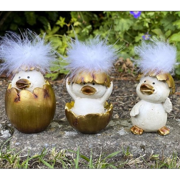 En hyggelig for�rsopstilling med alle tre varianter af La Vida kyllingerne samlet.