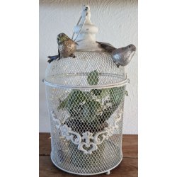 Et antikhvidt lanternebur med romantiske detaljer st�r p� et rustikt tr�bord. Buret er pyntet med dekorative fugle og indeholder en plante oplyst af en lysk�de.