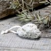 N�rbillede af lavapimpstenens por�se struktur, der illustrerer dens effektive evne til at fjerne h�rd hud.