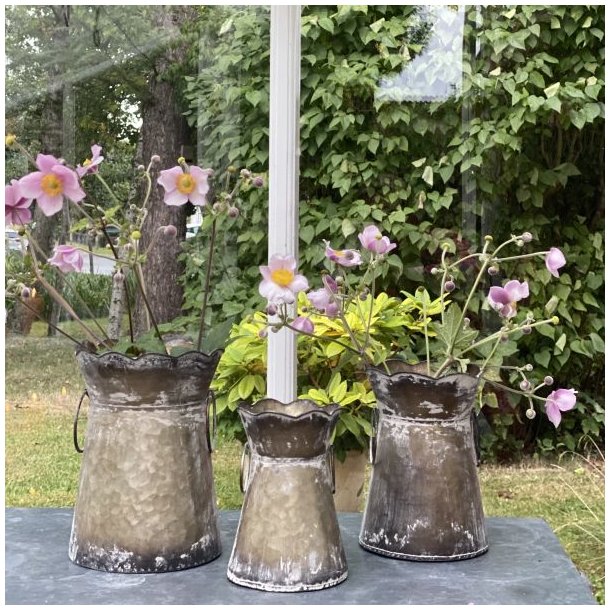Tre meleret zinkurtepotter med dekorative hanke og b�lget kant, her brugt som vaser til lyser�de h�stanemoner. Potterne er placeret p� et m�rkt bord i en gr�n have under en ranke med m�rke vindruer, hvilket fremh�ver deres rustikke patina.