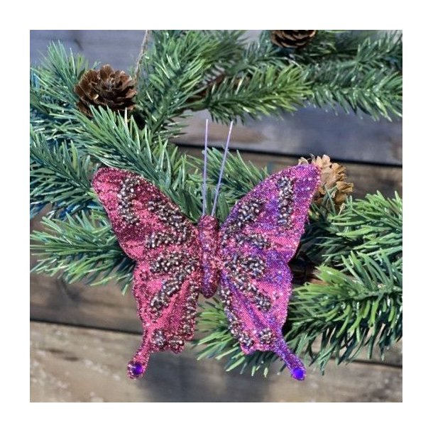 Fuchsiafarvet organza sommerfugl med glimmer sat p� en grangren med sm� kogler.