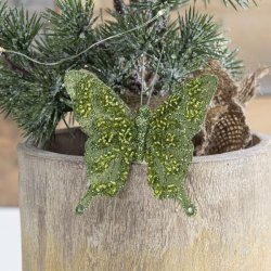 Gr�n organza sommerfugl med glimmer sat p� kanten af en rustik tr�potte med gran.