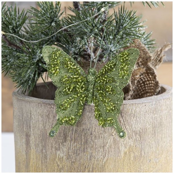 Gr�n organza sommerfugl med glimmer sat p� kanten af en rustik tr�potte med gran.