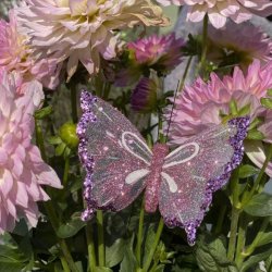Rosa organza sommerfugl med lilla glimmer og hvide detaljer sat p� en stor lyser�d dahlia i en buket.