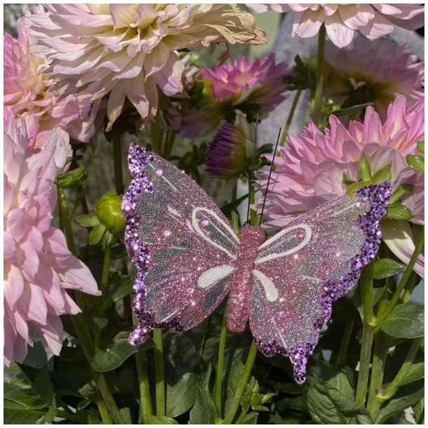 Rosa organza sommerfugl med lilla glimmer og hvide detaljer sat p� en stor lyser�d dahlia i en buket.