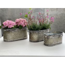 Tre ovale urtepotter i zink i forskellige st�rrelser med farverige blomster placeret dekorativt p� et hvidt bord.