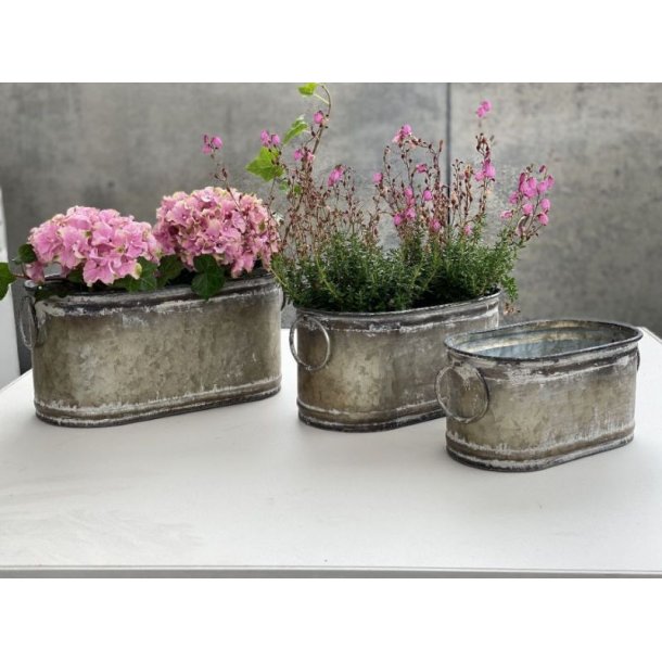 Tre ovale urtepotter i zink i forskellige st�rrelser med farverige blomster placeret dekorativt p� et hvidt bord.