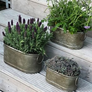 Tre ovale zinkpotter med lavendel og gr�nne planter opstillet p� en tr�tappe udend�rs.