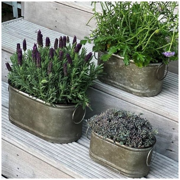 Tre ovale zinkpotter med lavendel og gr�nne planter opstillet p� en tr�tappe udend�rs.