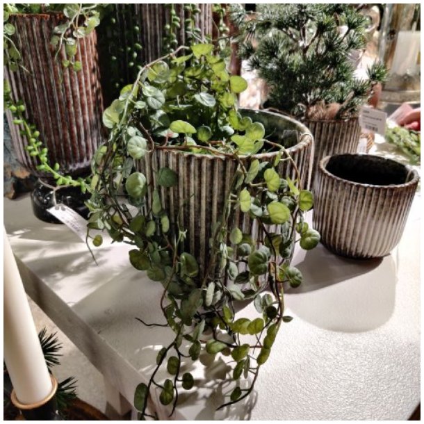 To rillede keramikurtepotter i retrostil i mellemst�rrelse og lille st�rrelse. De st�r p� en hvid flade, og den mellemste potte er fyldt med en h�ngende gr�n plante, mens den lille potte ved siden af er tom. Begge potter har en m�rk, glaseret overflade med en lodret stribet struktur.
