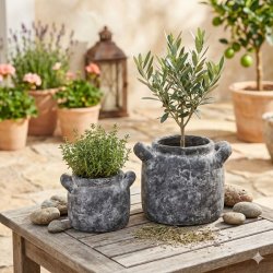 To rustikke, vejrbestandige terracotta krukker med hanke og et r�t, patineret sten-look) er smukt arrangeret p� et vejrslidt tr�bord i et solrigt terrasse milj�. Den mindre krukke er plantet med frisk timian, og den st�rre krukke rummer et lille oliventr�. I baggrunden ses en Mediterranean-style terrasse med krukker, planter og en lygte under naturligt dagslys. Billedet er kvadratisk (1:1).