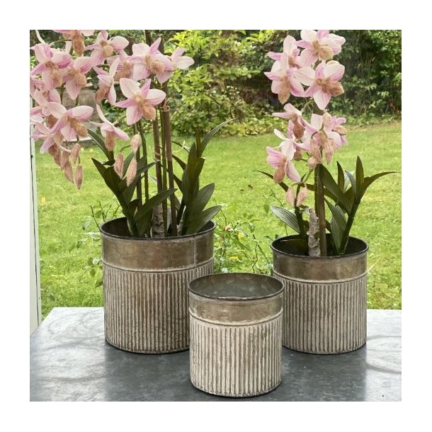 Tre runde urtepotter i zink med smukke lyser�de orkideer placeret p� et havebord i haven.