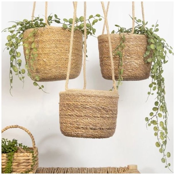 H�ngende urtepotte i s�gr�s med en gr�n plante placeret indend�rs i en lys stue.