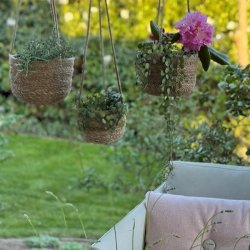 Tre h�ngende urtepotteskjulere i s�gr�s med blomstrende planter oph�ngt p� terrasse.