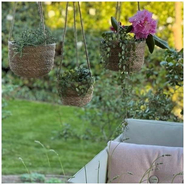 Tre h�ngende urtepotteskjulere i s�gr�s med blomstrende planter oph�ngt p� terrasse.