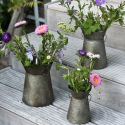 Tre zink-urtepotter i forskellige st�rrelser fyldt med farverige blomster og gr�nne st�ngler, opstillet p� en udend�rs tr�trappe.