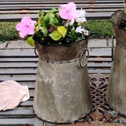 Et n�rbillede af den mellemste (H19 cm) meleret zinkurtepotte p� haveb�nken. Billedet zoomer ind p� potten med lyser�de flittiglise, metalhanken p� siden og zinkens rustikke, antik-gr� finish. En muslingeskal er placeret ved siden af.