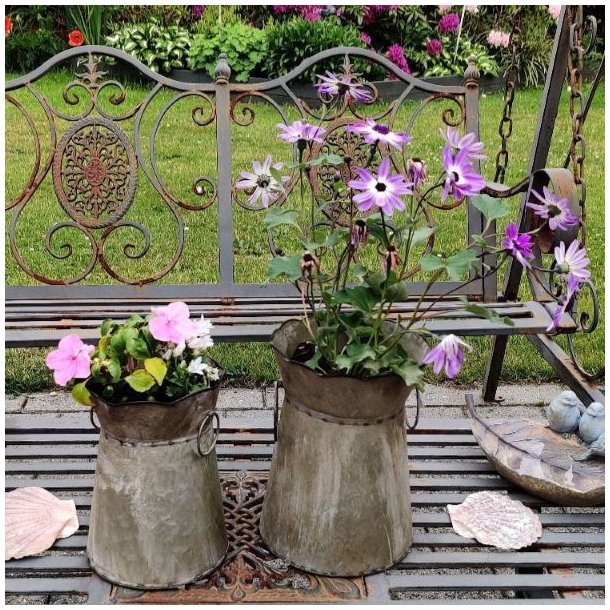 Et havemilj�billede af de to meleret zinkurtepotter, placeret sammen p� en rustik metalhaveb�nk. Den store potte (H20,5 cm) rummer en plante med lilla blomster, og den mellemste potte (H19 cm) indeholder lyser�de flittiglise. Baggrunden viser en frodig have med rhododendron i blomst.