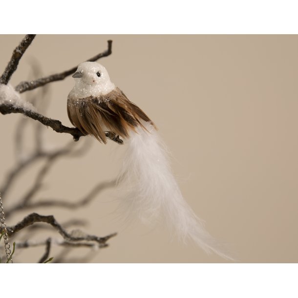 Deko fugl m. clips og hvid hale