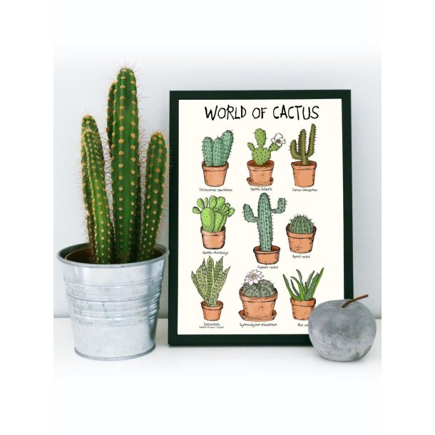 Plakat - World of cactus A4 og A3