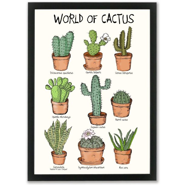Plakat - World of cactus A4 og A3 A3