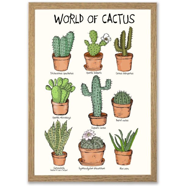 Plakat - World of cactus A4 og A3 A4