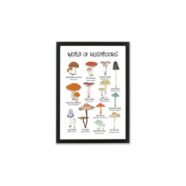 Plakat - World of mushrooms A4 og A3 A4