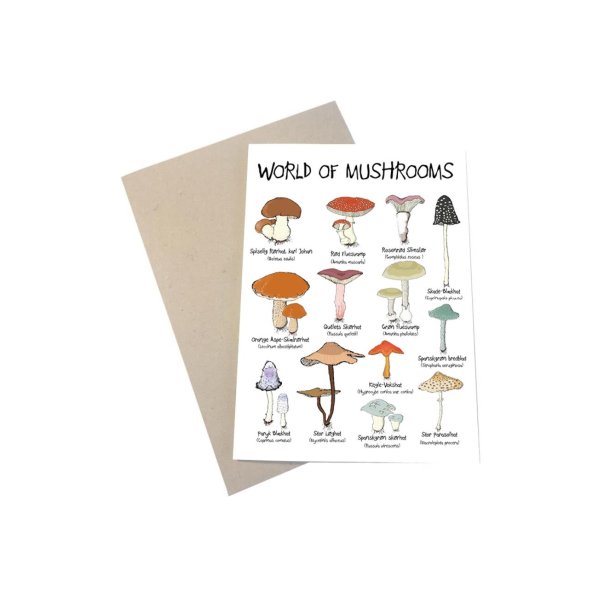 Kort - World of mushrooms