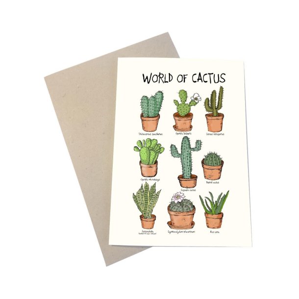 Kort - World of cactus