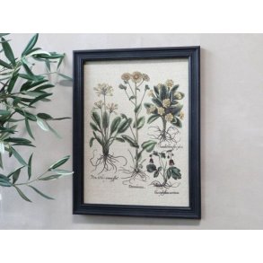 Chic Antique Billede m. blomstermotiv & sort ramme str. H43/L33 cm