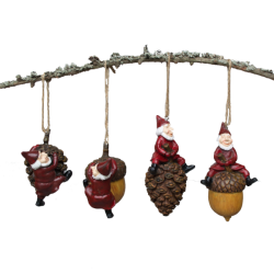 Nisser hnger p kogler og agern - Harvesttime