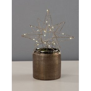 Jule stjerne - LED lys