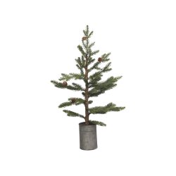 Grantr med kogler i zink potte