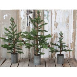 Grantr med kogler i zink potte