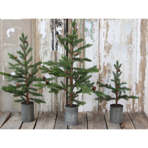 Grantr med kogler i zink potte