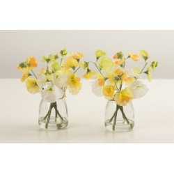 rteblomst gul i vase m/vand