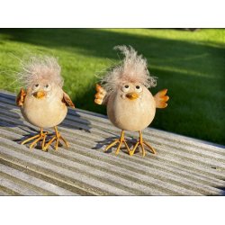 Pskekyllinger med fjertoppe