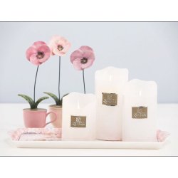 Stedmoderblomst i 4 farver/varianter.